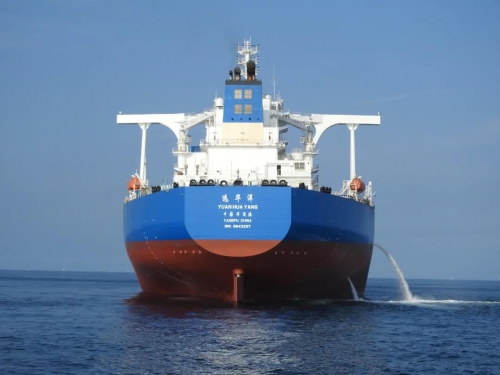 国内最大载重吨船舶入列“中国洋浦港”